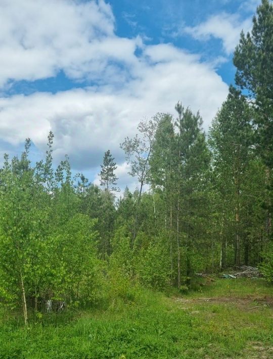 земля р-н Новосибирский п Степной Кубовинский сельсовет, ул. Лесная фото 1