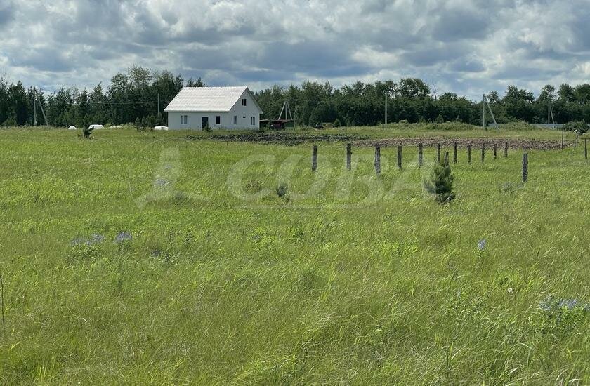 земля Червишевское муниципальное образование фото 5