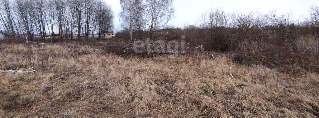 земля р-н Рамонский с Новоживотинное ул Луговая фото 5