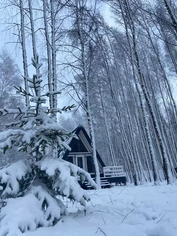 дом г Смоленск п Загорье ул Садовая 60 фото 1