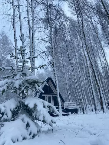 п Загорье ул Садовая 60 фото