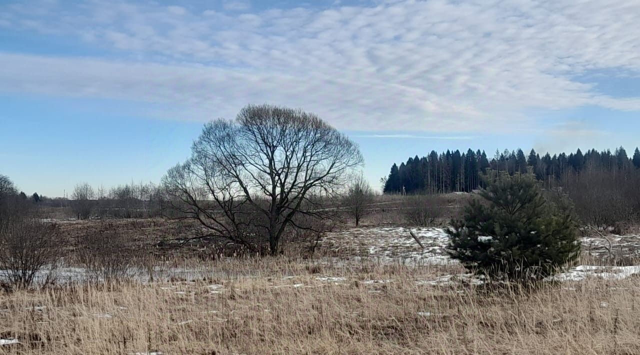 земля г Наро-Фоминск тер Бархатово 231, Наро-Фоминский городской округ фото 12