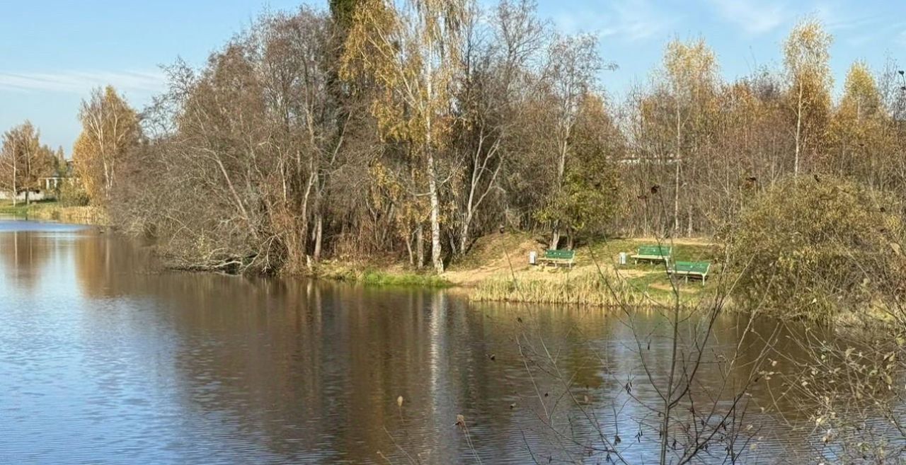 дом городской округ Лотошино д Поляны Истра муниципальный округ фото 17