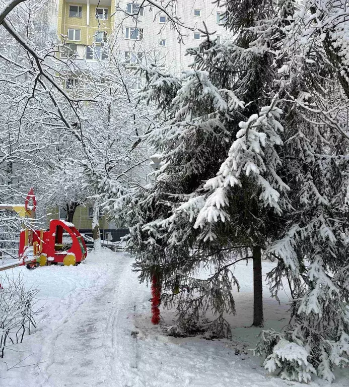 квартира г Москва ул Таллинская 8 Московская область фото 29