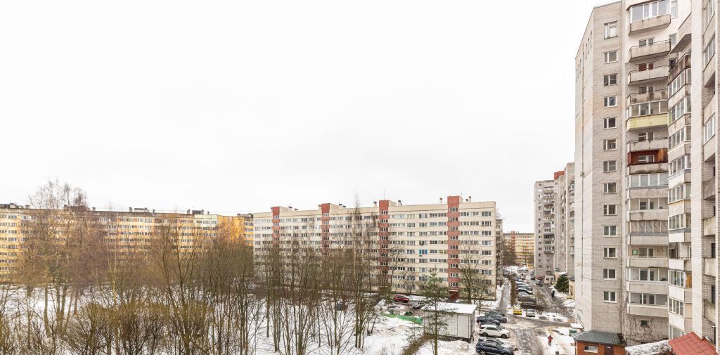 квартира г Санкт-Петербург метро Проспект Просвещения пр-кт Просвещения 12к/1 округ Шувалово-Озерки фото 33