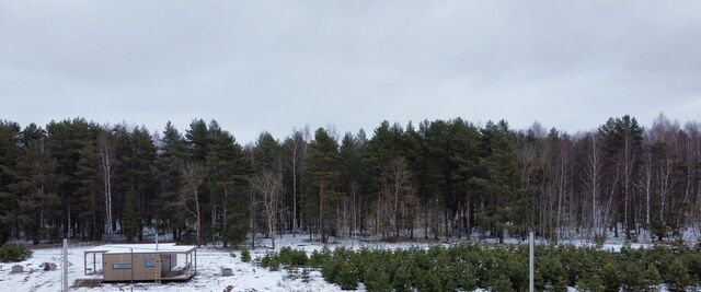 земля д Новощапово фото