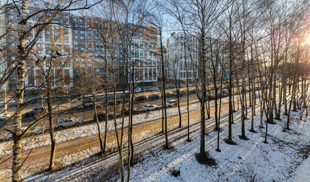 квартира г Санкт-Петербург метро Лесная Выборгская сторона ул Грибалёвой 10 округ Сампсониевское фото 19