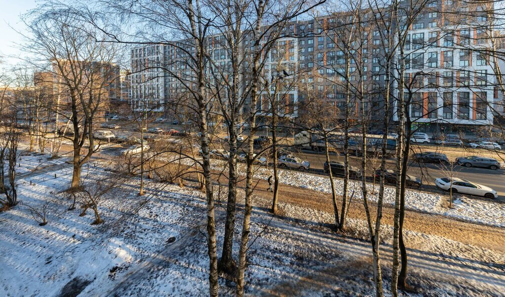 квартира г Санкт-Петербург метро Лесная Выборгская сторона ул Грибалёвой 10 округ Сампсониевское фото 20