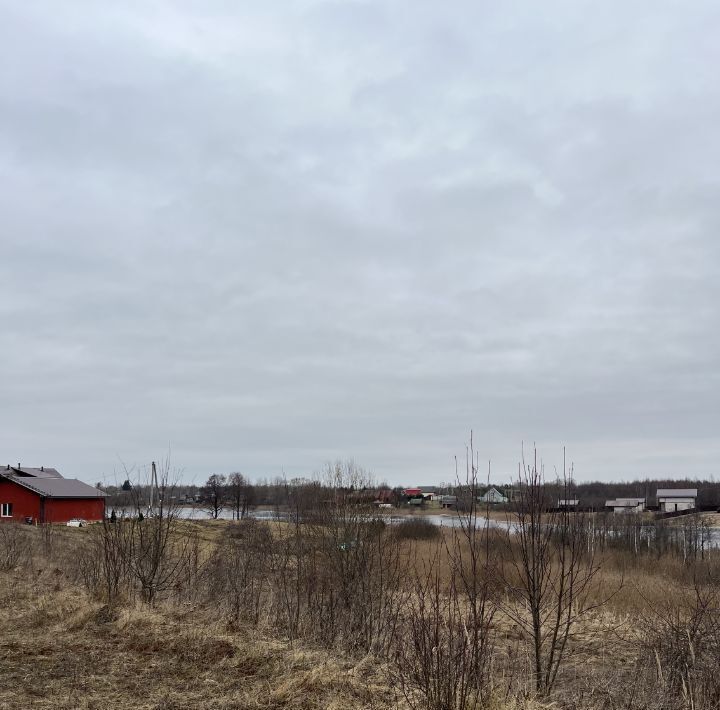 земля р-н Великолукский снт Чайка Переслегинская волость фото 1