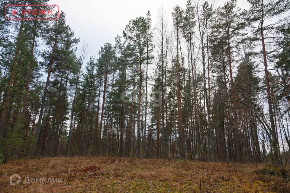 земля р-н Прионежский д Косалма 5 фото 1