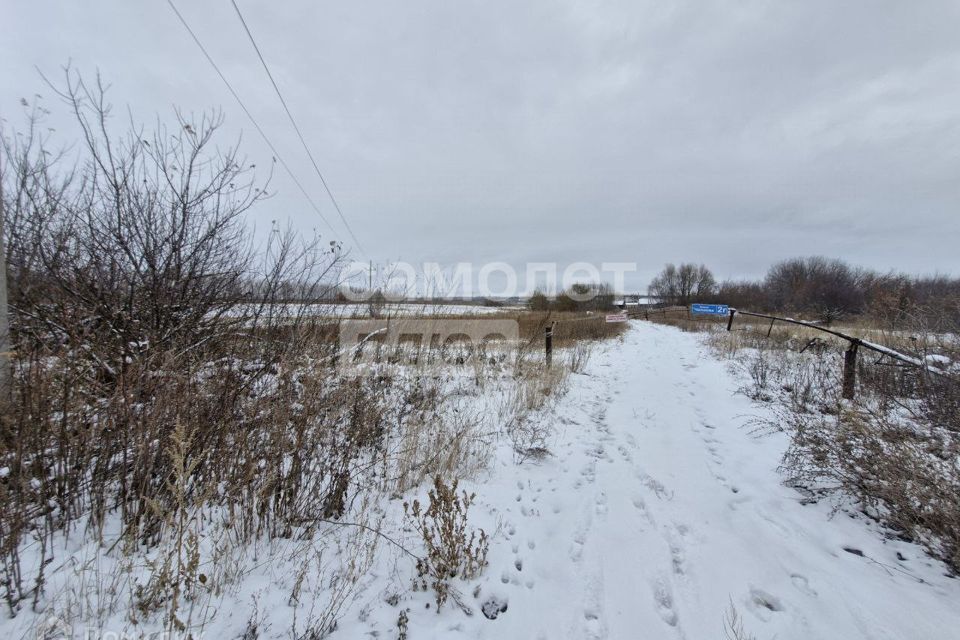 земля р-н Новоусманский фото 4