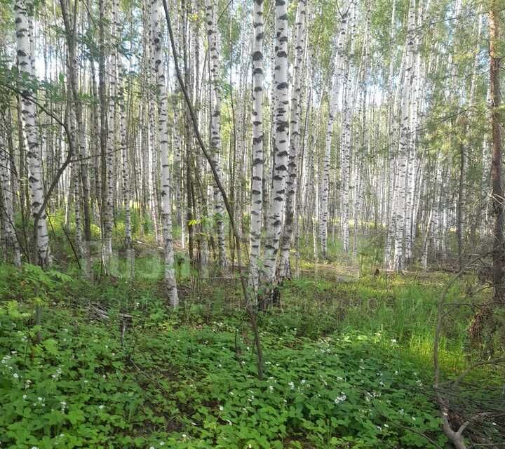 земля р-н Кстовский с Новые Ключищи Солнечная фото 2