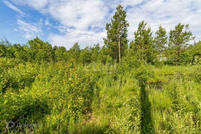 ул 6-я 193 Сургут городской округ фото