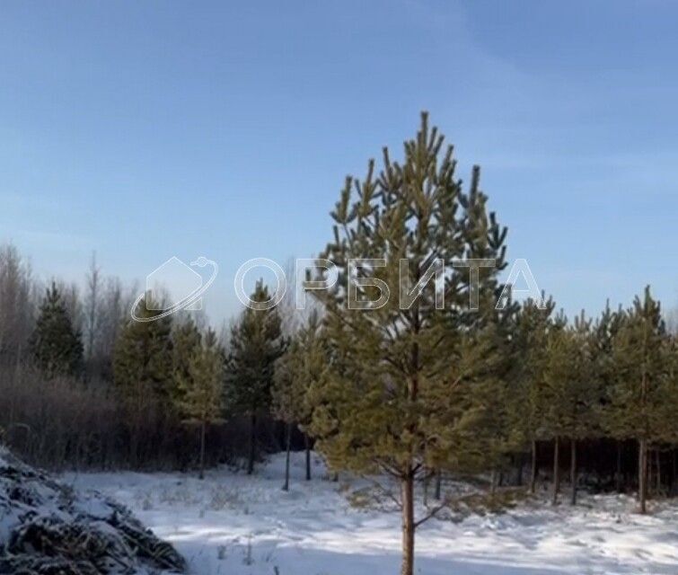 земля р-н Нижнетавдинский д. Московка фото 3