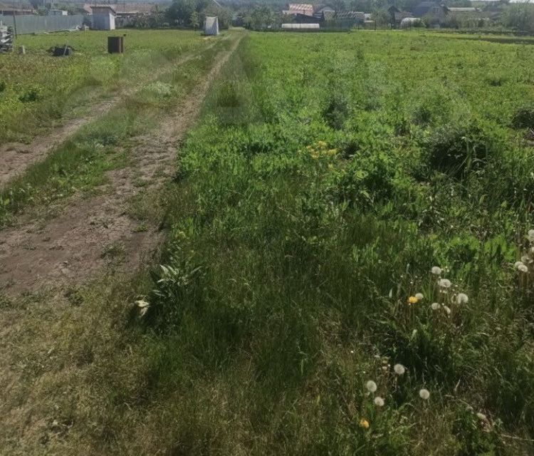 земля р-н Пензенский с. Богословка фото 2