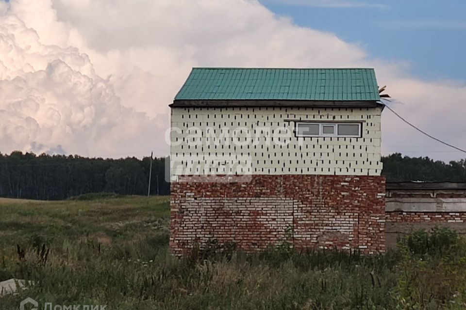 земля р-н Бугульминский с Малая Бугульма ул Мира 149 фото 2