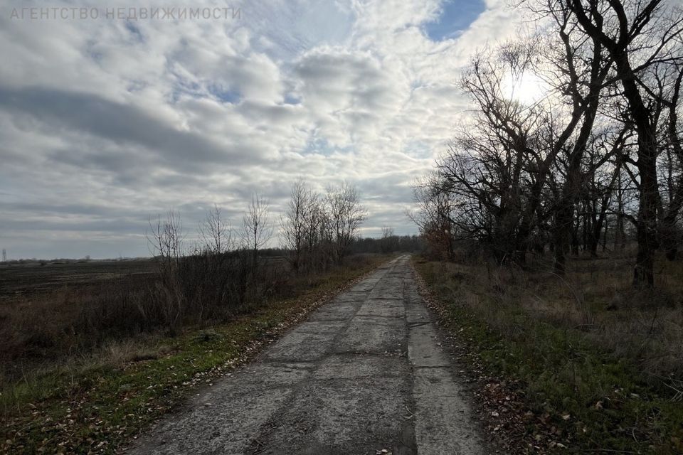 земля р-н Аксайский x. Краснодворск фото 3