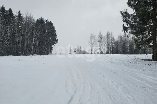 Добрянский городской округ, д. Залесная фото