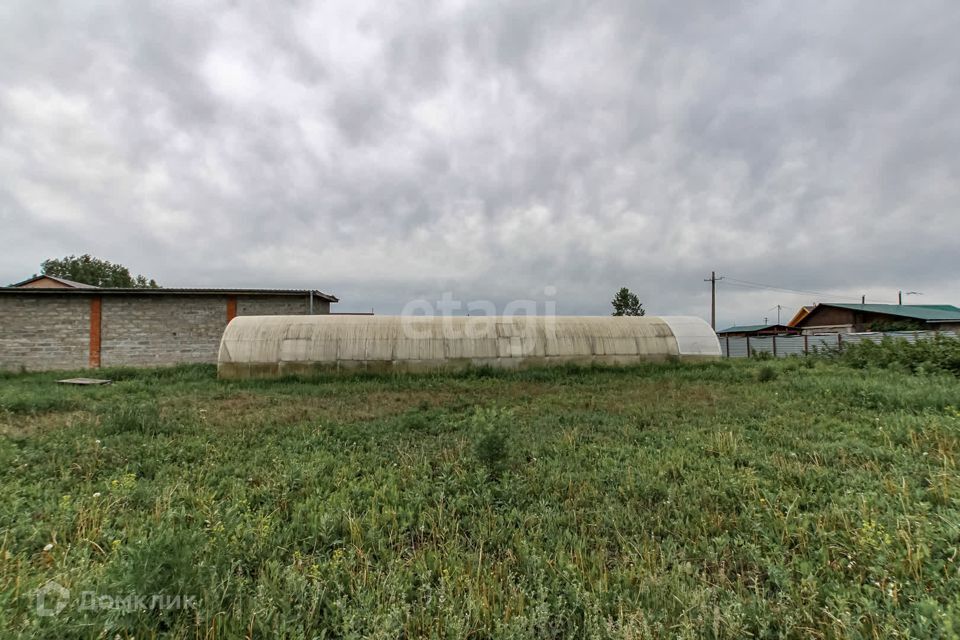 земля Барнаул городской округ, СНТ Берёзовая Роща-1 фото 1