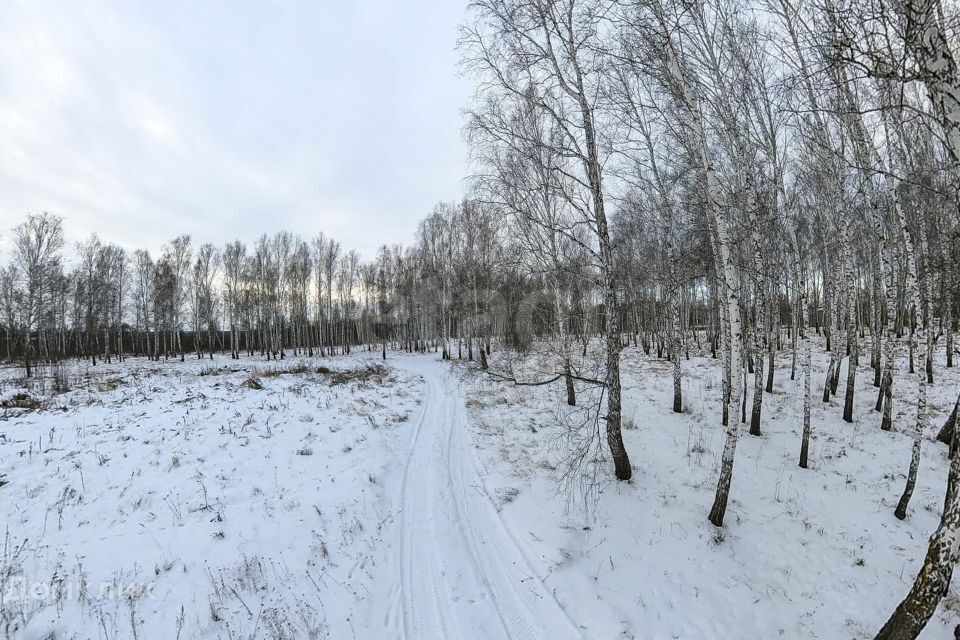 земля р-н Тюменский рп Винзили микрорайон Южный м-н фото 1