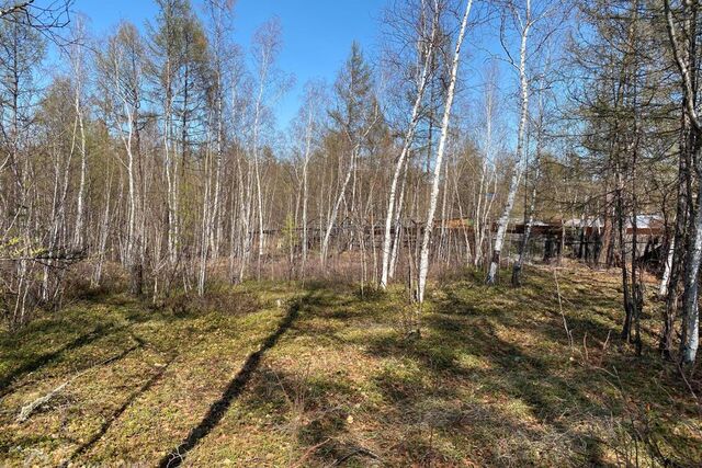 тракт Вилюйский Якутск городской округ фото