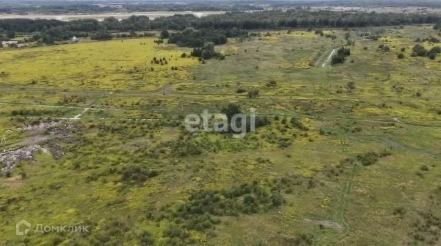 земля р-н Зеленоградский п Зеленый Гай Молодёжная фото 3