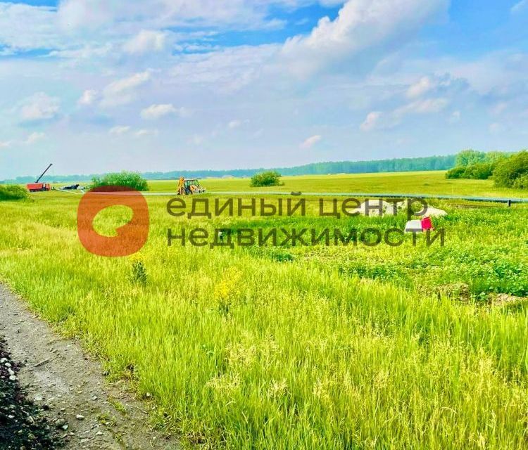 земля р-н Тюменский с. Луговое фото 2