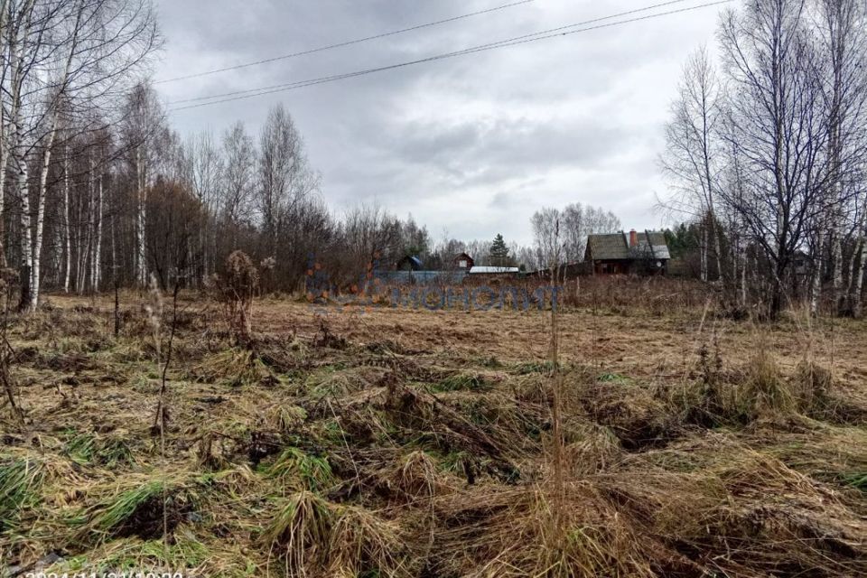 земля Семеновский городской округ, Семенов фото 2