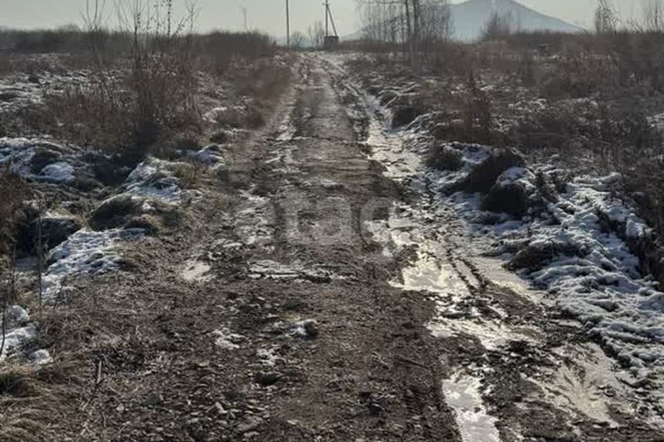 земля р-н Яковлевский с Старосысоевка ул Колхозная фото 3