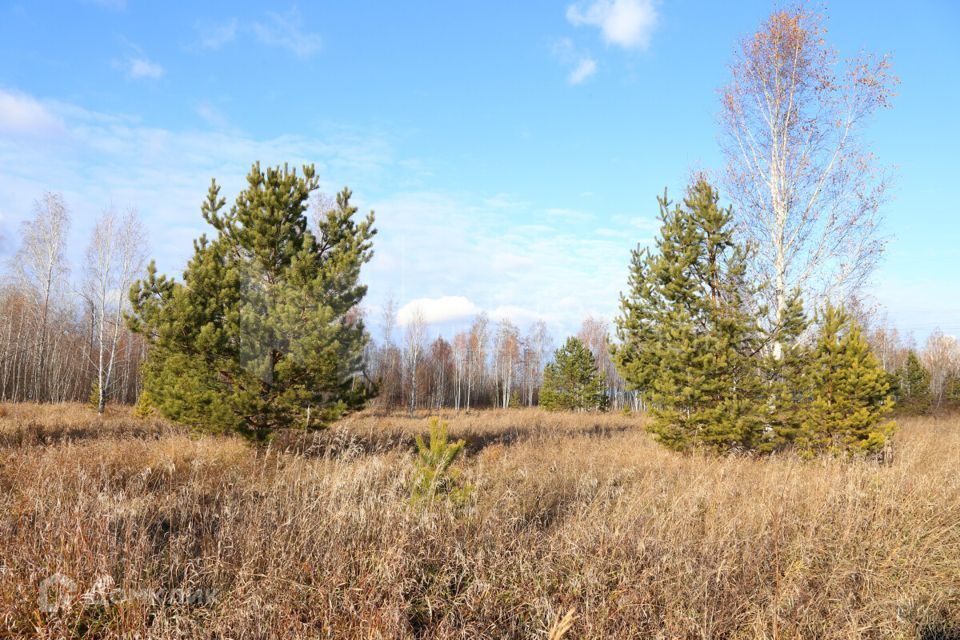 земля р-н Тюменский фото 10