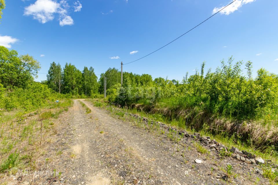 земля р-н Хабаровский фото 5