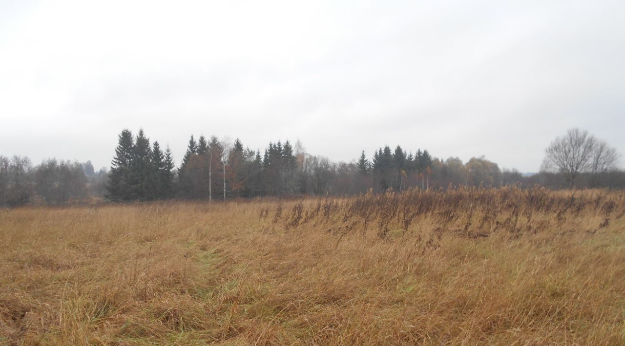 офис городской округ Шаховская д Лукошкино ул Центральная фото 1