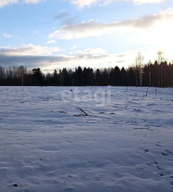 дом Добрянский городской округ, д. Залесная фото 7