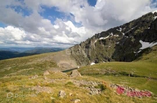 земля р-н Усть-Коксинский фото 6