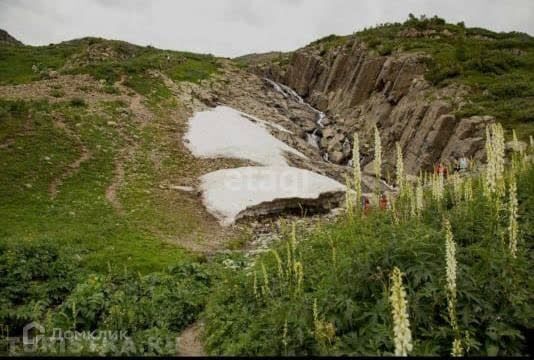 земля р-н Усть-Коксинский фото 9