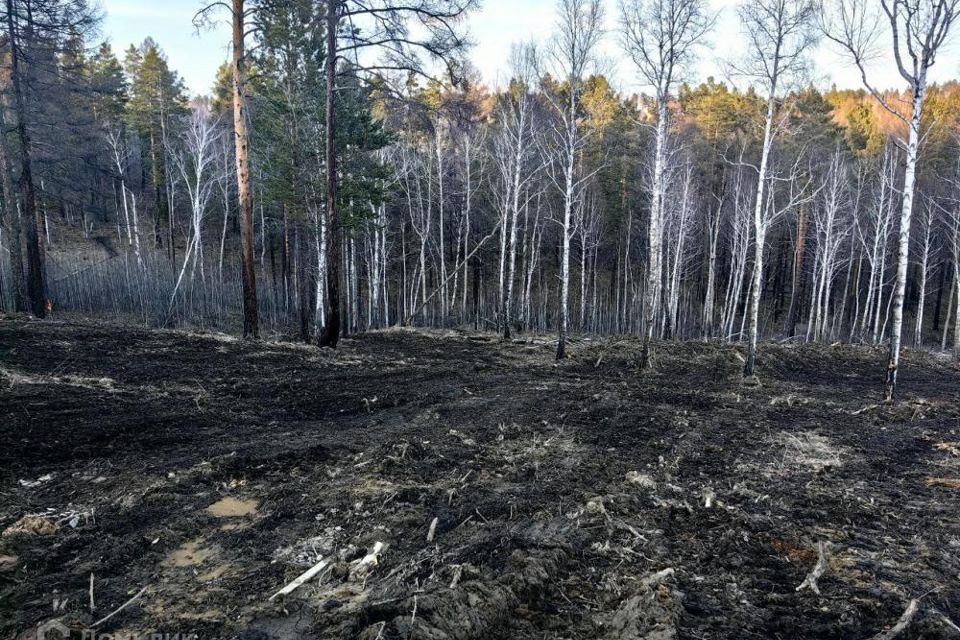 земля р-н Иркутский д Новолисиха Молодежная фото 7