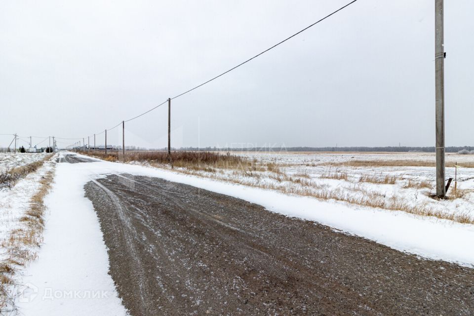 земля р-н Тюменский д Елань ул Молодежная 4 фото 5