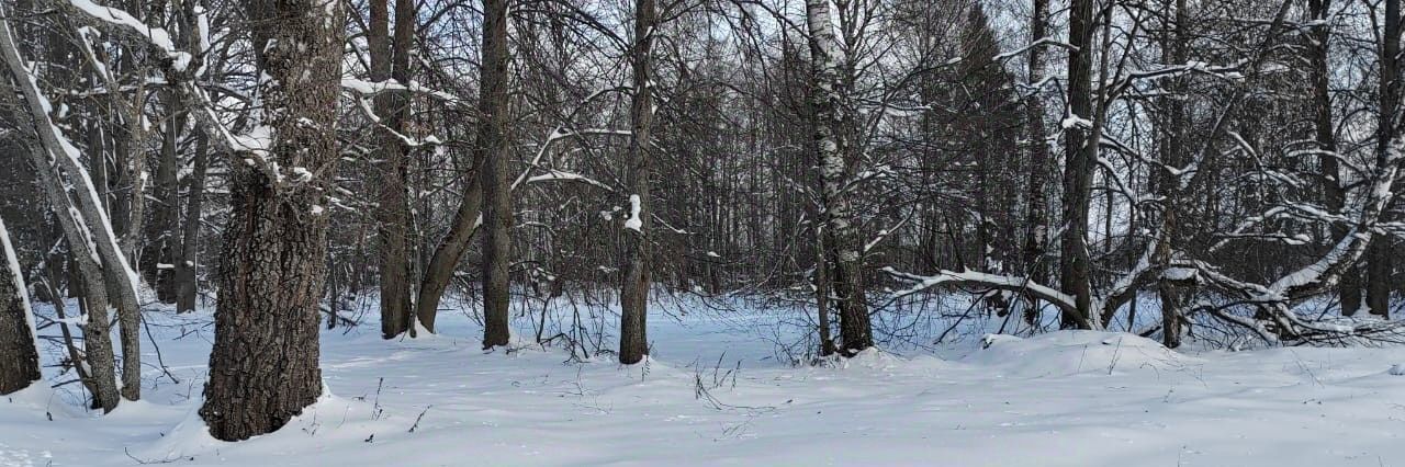 офис городской округ Можайский д Блазново фото 1