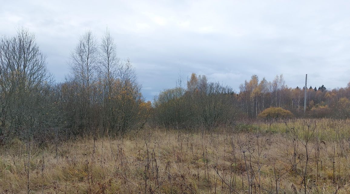 офис городской округ Наро-Фоминский п Новая Ольховка фото 1