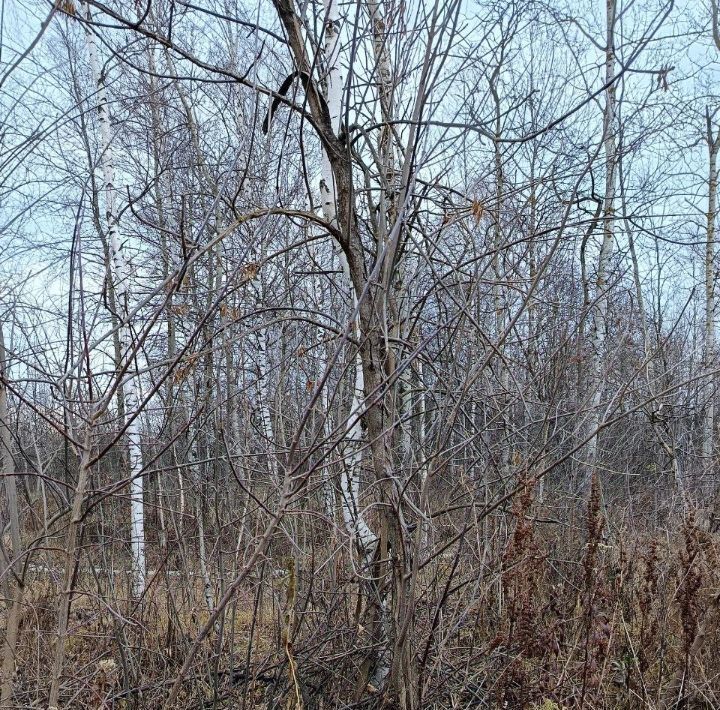 офис г Павловский Посад пер Ленинградский фото 1