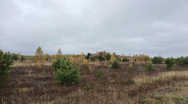 Коломна городской округ фото