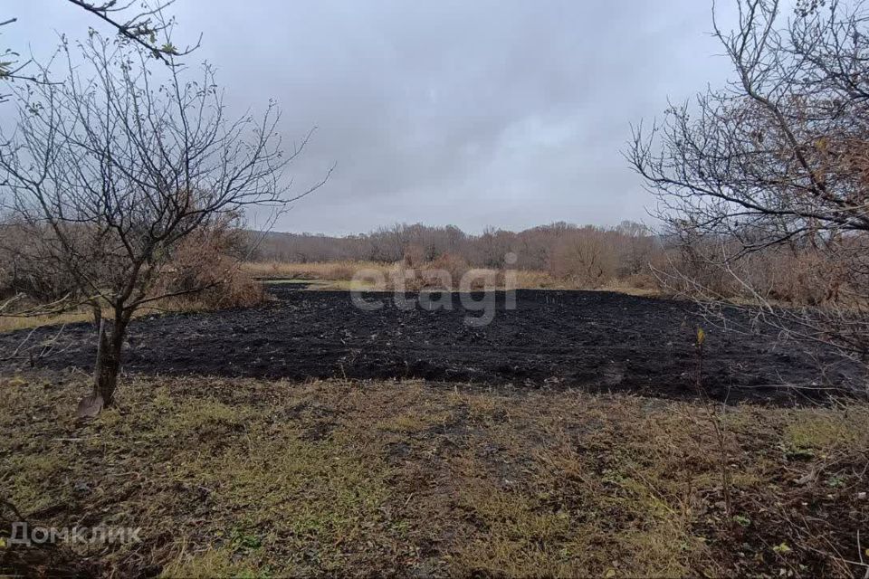 дом р-н Вейделевский п Вейделевка ул Центральная фото 10