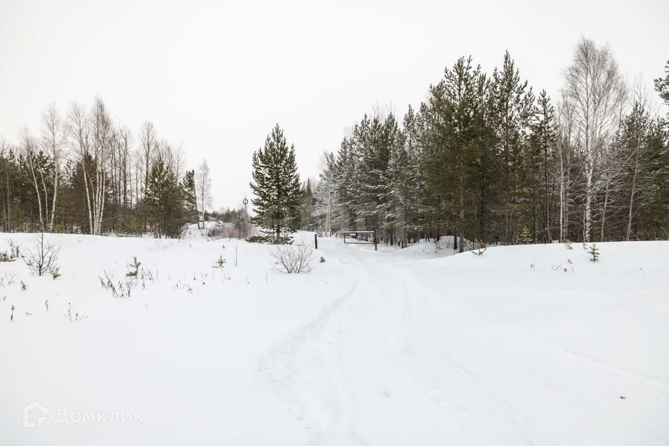 земля г Сургут СНТ СН Сурмятино, Сургутский район фото 6