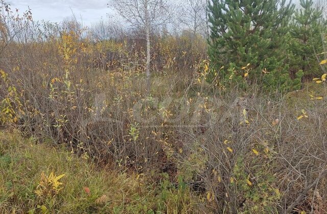 снт Садовое некоммерческое товарищество собственников недвижимости Романтик фото