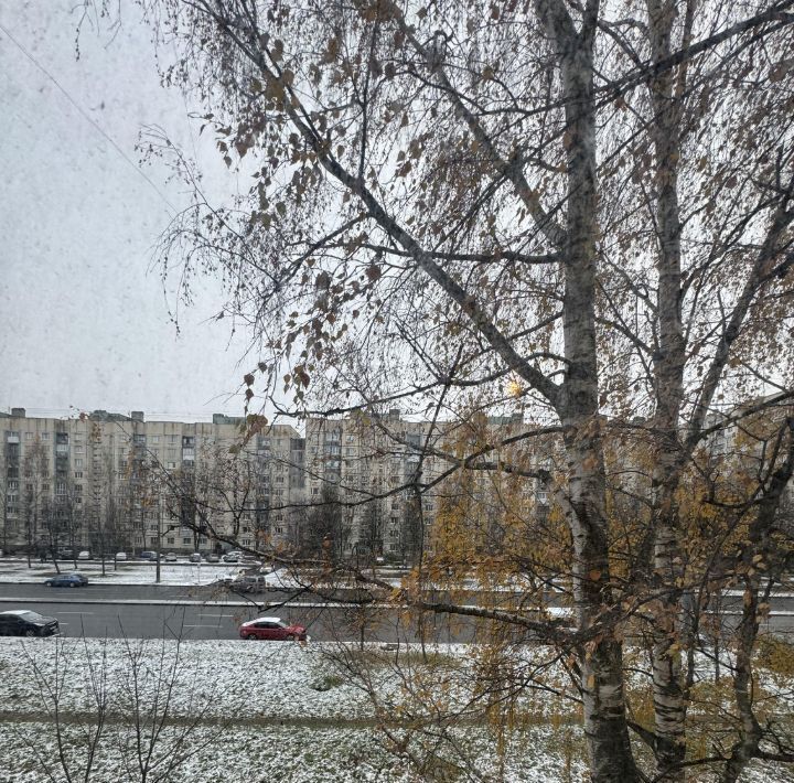 квартира г Санкт-Петербург метро Проспект Просвещения пр-кт Просвещения 20/25 фото 6