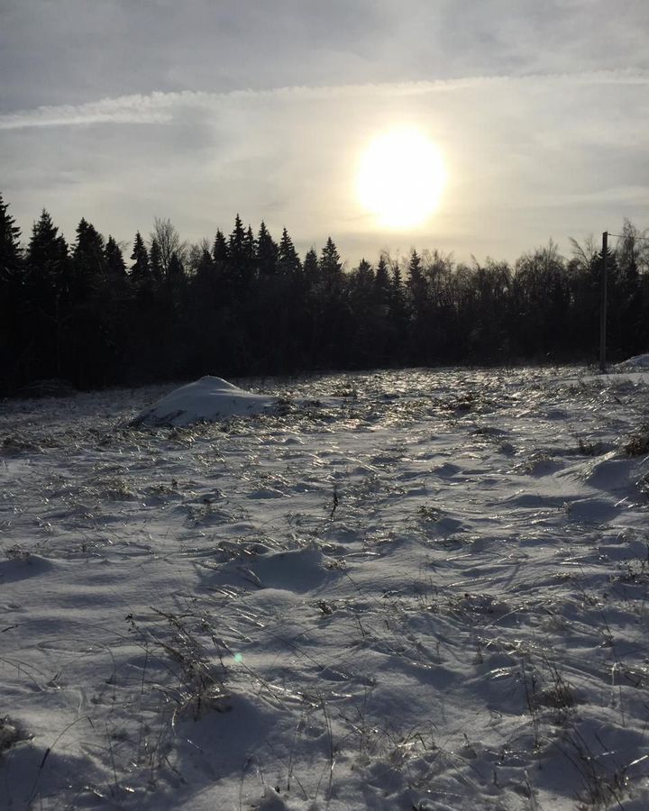 земля городской округ Сергиево-Посадский д Красная Сторожка снт Красная сторожка 64 км, Берёзовая ул., 208, Реммаш, Ярославское шоссе фото 8