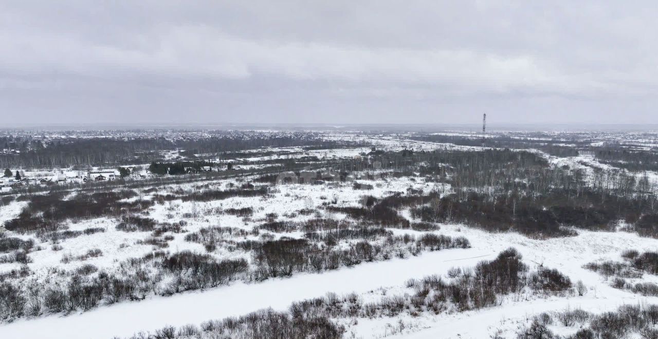 земля г Новосибирск ул Сосновая садовое некоммерческое товарищество Лесник, Коченёвский муниципальный р-н фото 13