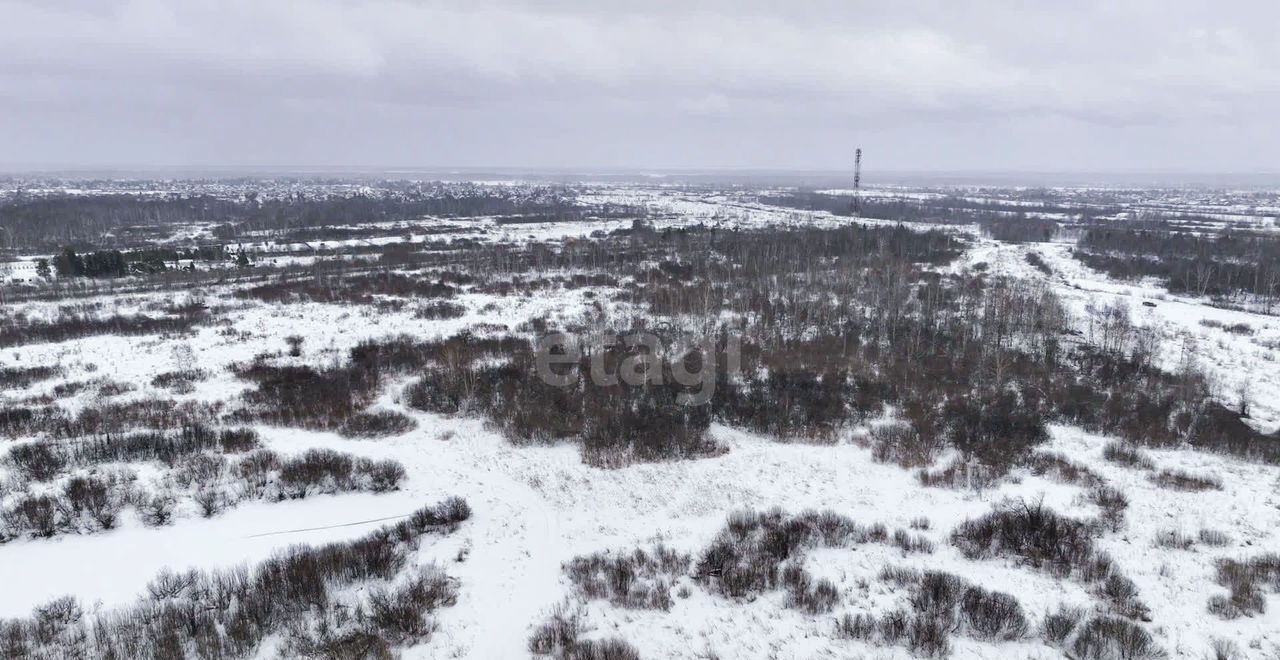 земля г Новосибирск ул Сосновая садовое некоммерческое товарищество Лесник, Коченёвский муниципальный р-н фото 18