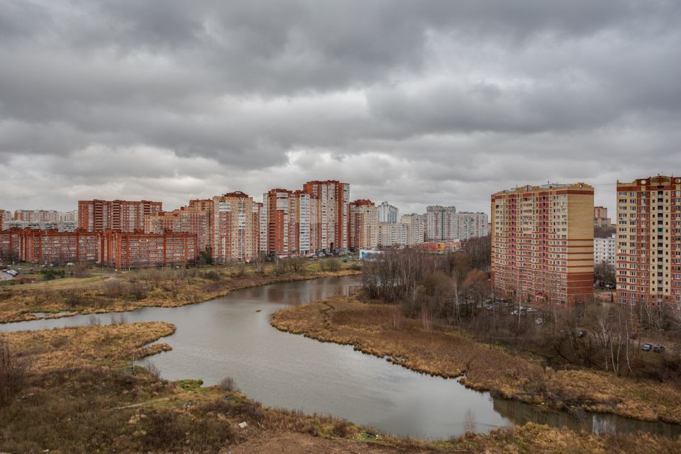 квартира п Серебряные Пруды ул Петра Романова 11 городской округ Серебряные Пруды фото 9