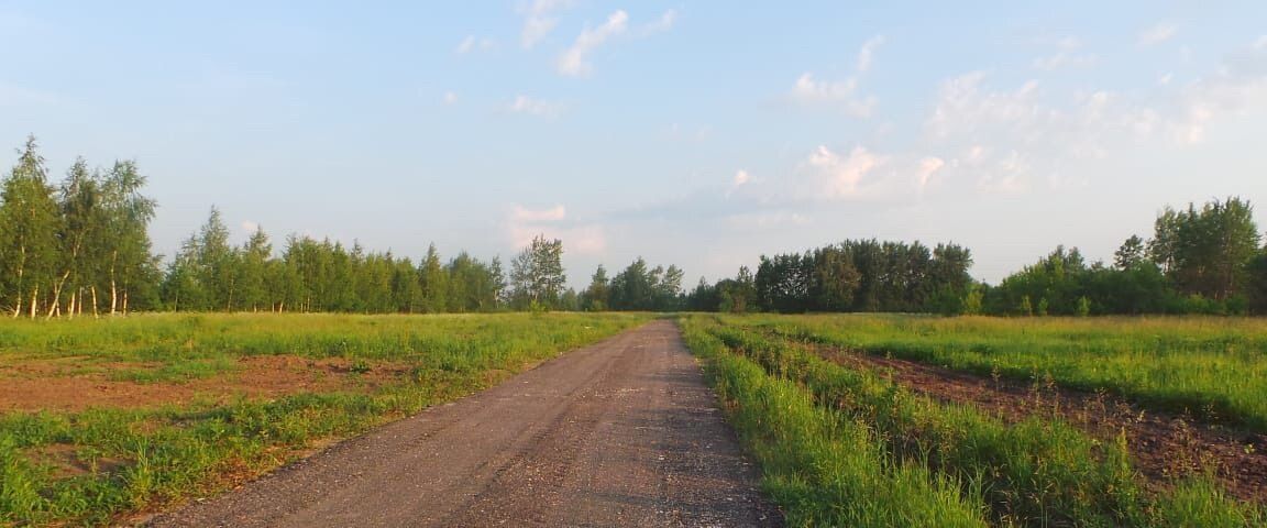 земля городской округ Раменский 28-4 кв-л фото 1